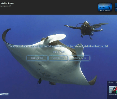 Nautilus Liveaboards - Liveaboard Diving in Mexico white giant
