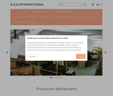 E.A.G. International acoustic guitar electric