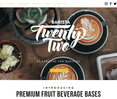 Barista 22 coffee powder mixer