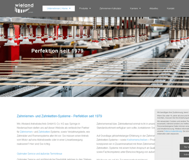 Wieland Antriebstechnik losing belt