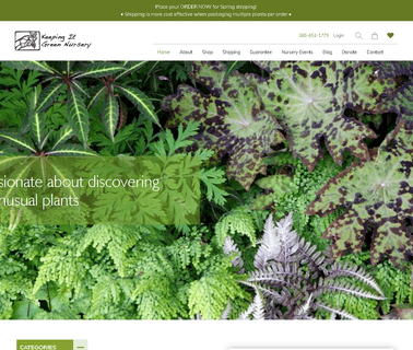 Keeping It Green Nursery garden nursery