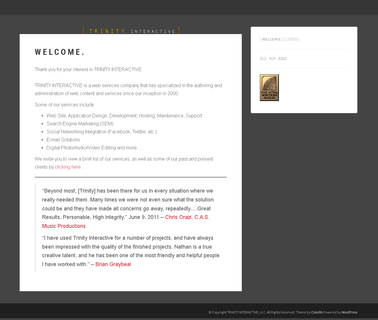 Trinity Interactive web design