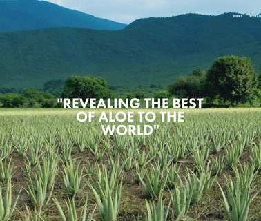 Aloe Jaumave Sa De Cv Galardonado Co bitter aloe vera