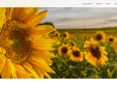 American Lecithin lecithin
