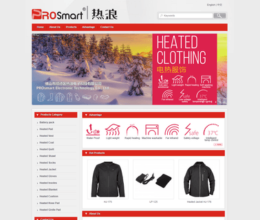 Foshan Shunde Prosmart Electronic battery china