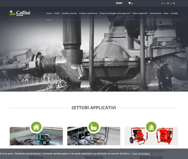 Caffini Cipriano S.R.L. Pompe Autoadescanti auto dust covers