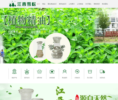 Jiangxi Xuesong Natural Medicinal Oil essential