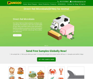 Cangzhou Pangoo International Trade chicken eggs incubator