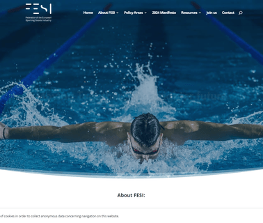 Fesi Federation Of The European Sporting Goods Industry associations trade groups
