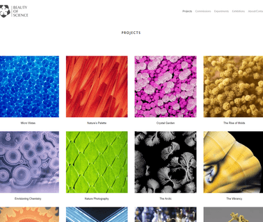 Anhui Xinzhi Digital Information Technology Co, L beauty