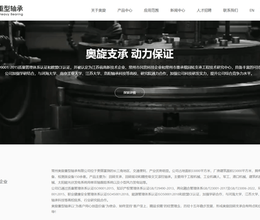 Changzhou Aoxuan Slewing Ring ball single