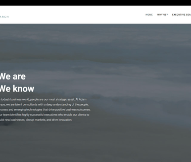 Leadership Advisory & Executive Search Services Adam Bryce equity advisory