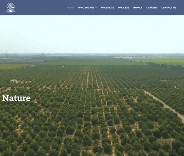 Home - Daltex fresh vegetables fruit