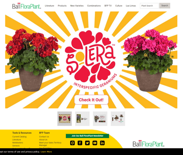 Ball Floraplant 688 ball