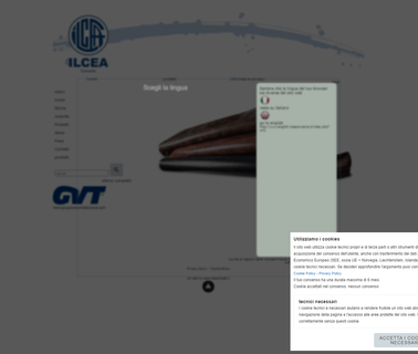 Ilcea spa goods
