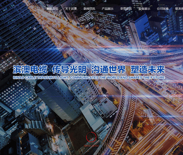 Shandong Binao Wire & Cable cable two