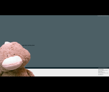 Hanyoung International toys