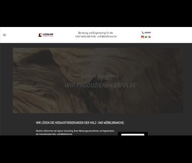Lignum Consulting rain and umbrella