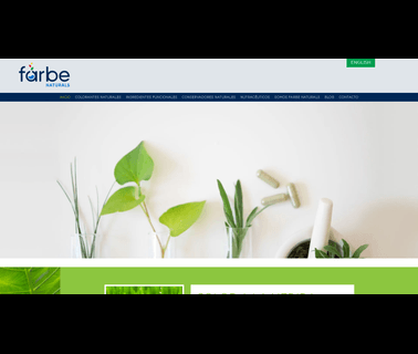 Farbe Munchen De Mexico S De Rl De Cv mexico food