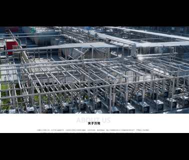 Wanlong Chemical chemical coatings