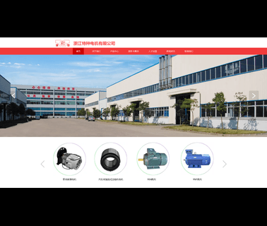 Zhejiang Special Electric Motor electric motor