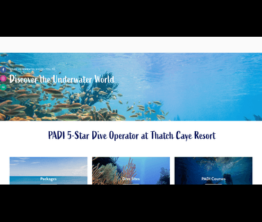 Belize Underwater fantasea underwater