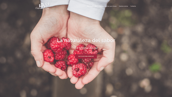 Hispanoamerican Brokers, Sl brokers michigan