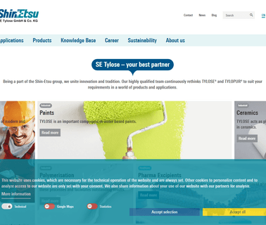 Se Tylose Gmbh & Co Kg ethyl cellulose