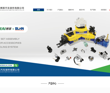Ruian Bolai Automotive Parts locks market