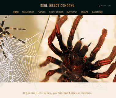 The Real Insect Co.,Inc. cockroach insect killer