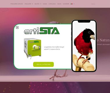 S.T.A. Soluzioni accessori per