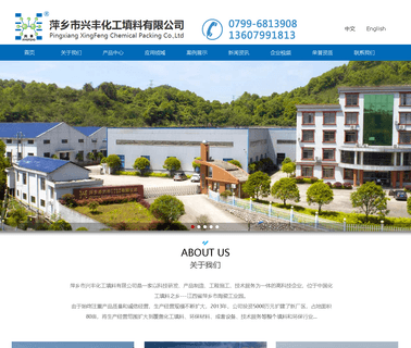 Pingxiang Xingfeng Chemical Packing chemical packing