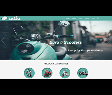 Wenling Import and Export bikes pocket