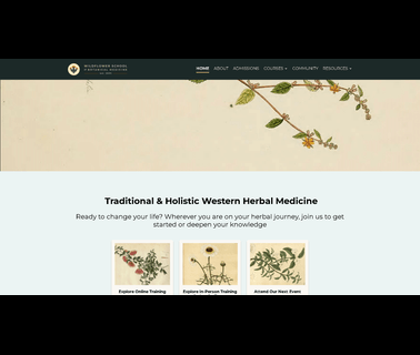Wildflower School of Botanical Medicine medicine tray