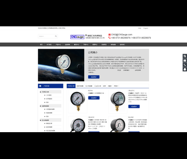 Cng Part stainless steel pressure sensor