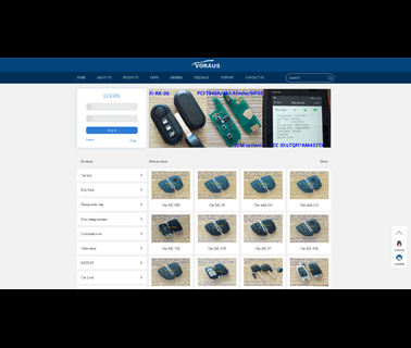 Shenzhen Voraus Technology car key pro