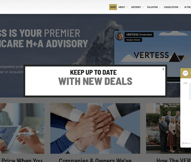 Vertess business consulting service