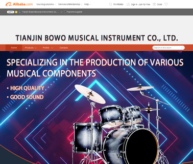 Tianjin Bowo Musical Instruments key ring set