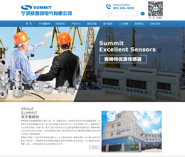 Ningbo Summit Electric magnetic relays