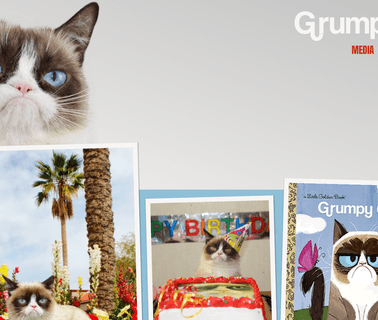 Home - Grumpy Cat over age