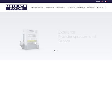 Haulick Roos Stanz Und eccentric equipment