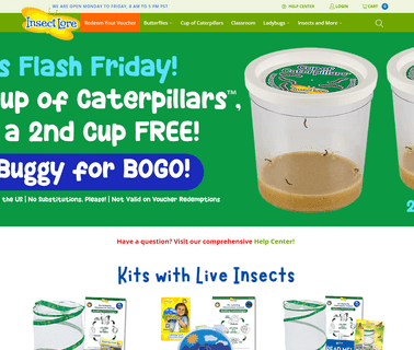Insect Lore toys insect