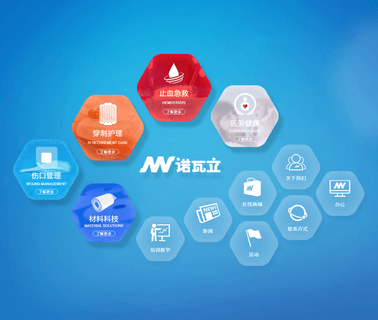 Shanghai New Value Medical Products wound dressing