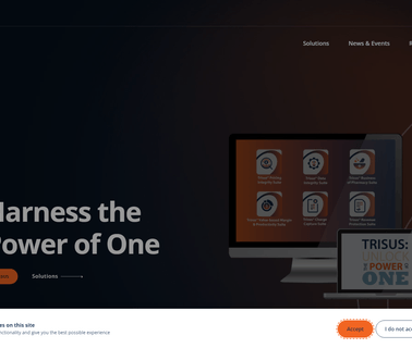 Sentry Data Systems business risk consulting