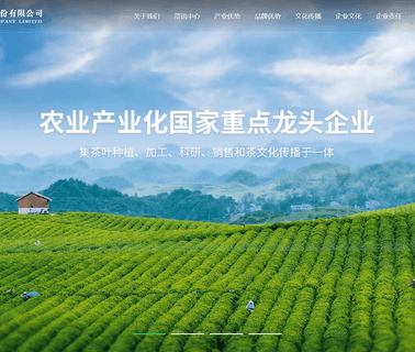 Hunan Tea Group tea group