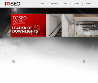Foshan Toseo Lighting quality down light led
