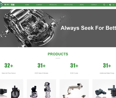 Wenzhou Riyi Vehicle Parts egr
