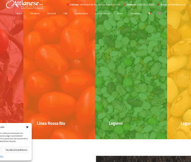 Attianese S.P.A legumes