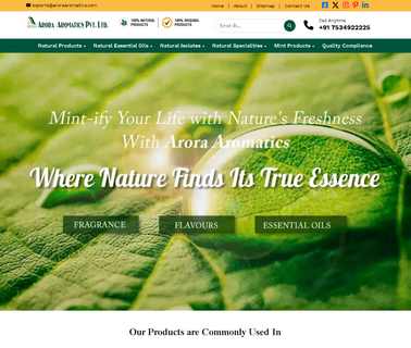 Arora Aromatics menthol crystal
