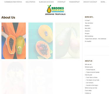 Brooks Tropicals dragon fruit